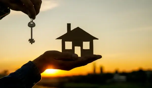 Real Estate Agencies